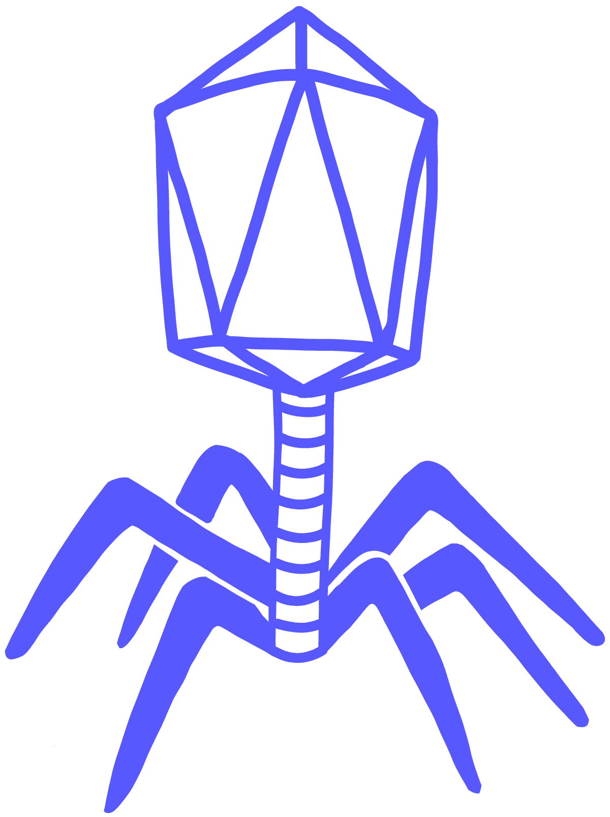 phage